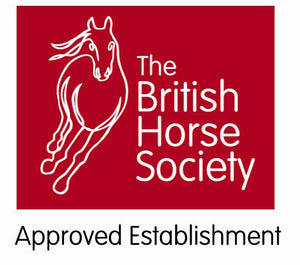 The British Horse Societies Challenge Awards: Individual Challenge Awards